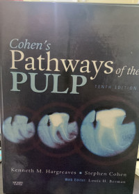 Image of Cohen's pathway of the pulp