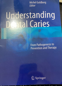 Image of understanding dental caries